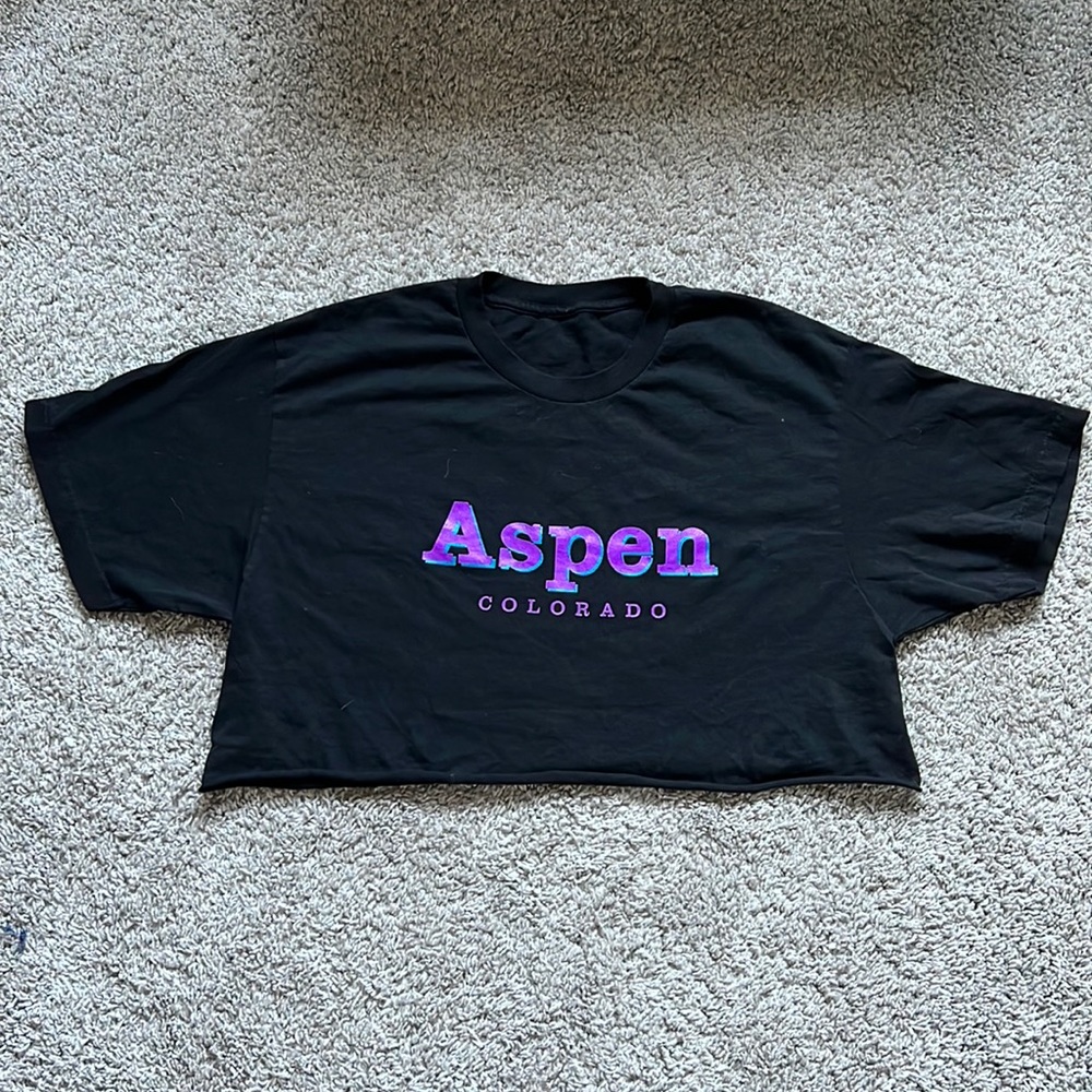Brandy Melville Aspen Colorado Crop Top